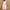 Pink, variant on Ynynloco Women's Satin Silk Nightgowns Loose Sleepwear Satin Negligee Chmeise Nighty Mesh Square Neck Nightwear