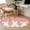 Pink, variant on Rectangle Area Rugs 2 x 3 Ft, Easter Bunny Non-Slip Residential Carpet, Cute Rabbit Family Vintage Pink Abstract Indoor Crawling Mats Runner Rugs for Living Room/Dining Room/Bedroom
