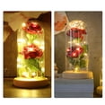 thumbnail image 3 of Tira De Luces Led De 20 Y 2 Uds. Rosa Rosa De Seda Artificial Con Pantalla De Cristal Blanco Cálido Diy Para Decoración Del Hogar Proyecto De Vacaciones Fiesta Regalo De Boda Yuarrent HA025916-02, 3 of 5