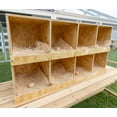 thumbnail image 3 of Zylina Best Rest 8 Bay Chicken Nesting Box 46x13x25, 3 of 10