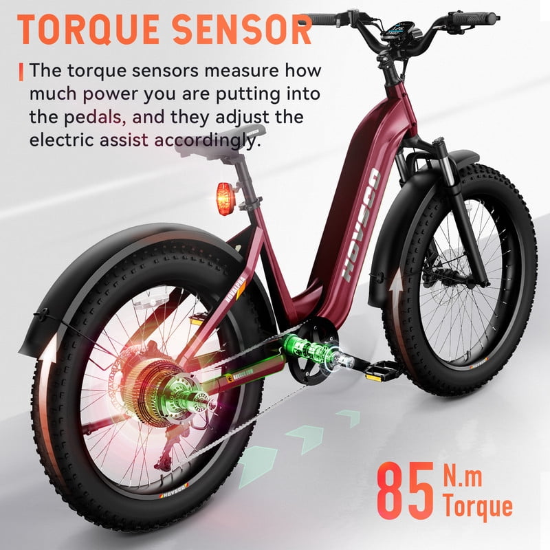 HOVSCO HovAlpha 26" Fat Tire Electric Bike, 750W Electric Mountain Bike for Adults, 48V/20AH Samsung/LG Battery, APP Control, UL2849, Deep Red