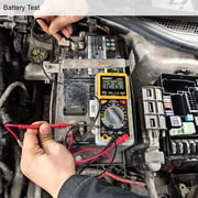 EverStart Professional CAT 3 300 Volt Digital Multimeter