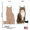 thumbnail image 5 of Cardboard People House Cat Life Size Cardboard Cutout Standup - Made in USA, 5 of 5