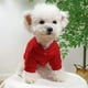 thumbnail image 5 of Ropa para mascotas, osito de peluche, para otoño e invierno, acolchado, cálido, con la letra M, serie de camisetas, 5 of 6