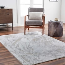 Hauteloom Ambra Living Room, Bedroom Area Rug - Gray, Brown - 2'7" x 4'