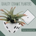 View all media