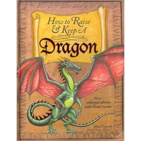 How to Raise and Keep a Dragon - Walmart.com