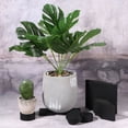 thumbnail image 5 of Uxcell 2x2x0.8" Planter Flower Pot Feet Square Non-slip Rubber Invisible Riser, Black 6 Pack, 5 of 5