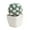 A, variant on Nnndbs 4Pcs Mini Artificial Cactus , Small Succulent with White Ceramic Pot for Desk Office Shelf, Lifelike No Water Cactus Decor for Home Farmhouse Bathroom