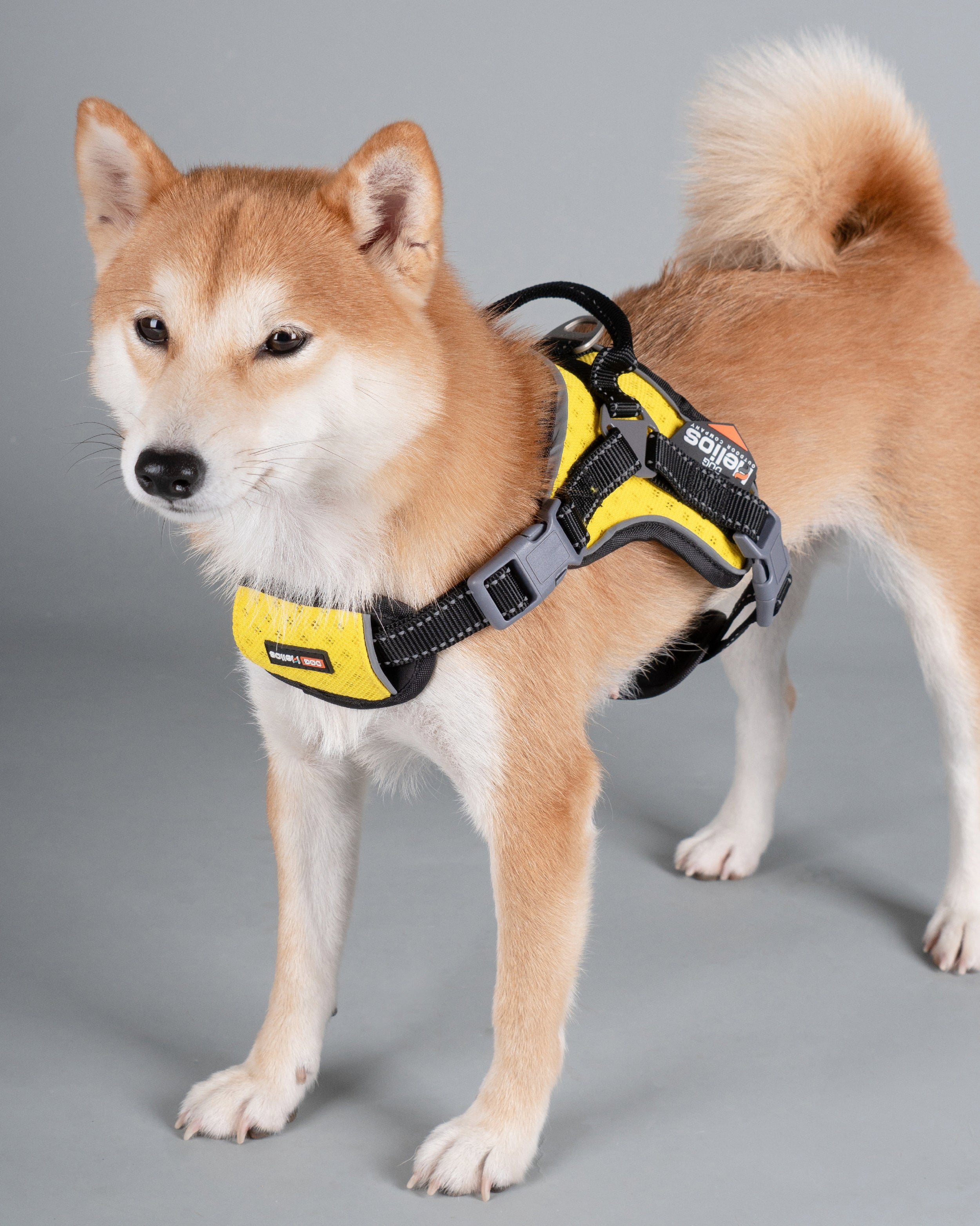 Dog Helios Stainless Steel, Nylon, Polyester, Fleece & Mesh Scorpion Walking Dog & Cat Harness, Yellow, M (20.5" to 23.6" Chest Size)