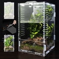 thumbnail image 2 of Recinto para Arañas Saltarinas, Terrario Acrílico Grande Tarántulas, Reptiles, Accesorios Saltarinas, 2 of 5