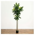 thumbnail image 5 of 7ft. Artificial Dracaena Tree with Real Touch Leaves, 5 of 5