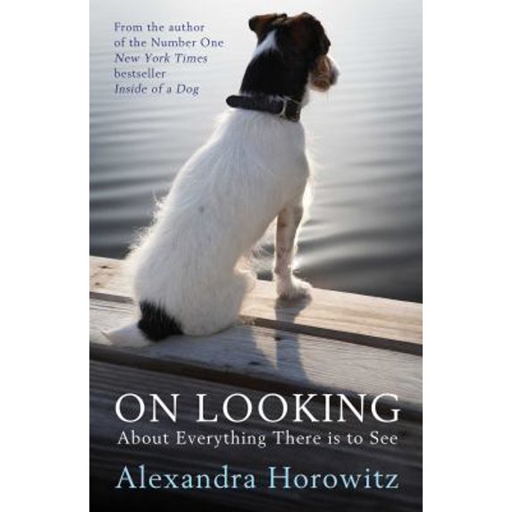 Pre-Owned On Looking (Paperback) 147112620X 9781471126208