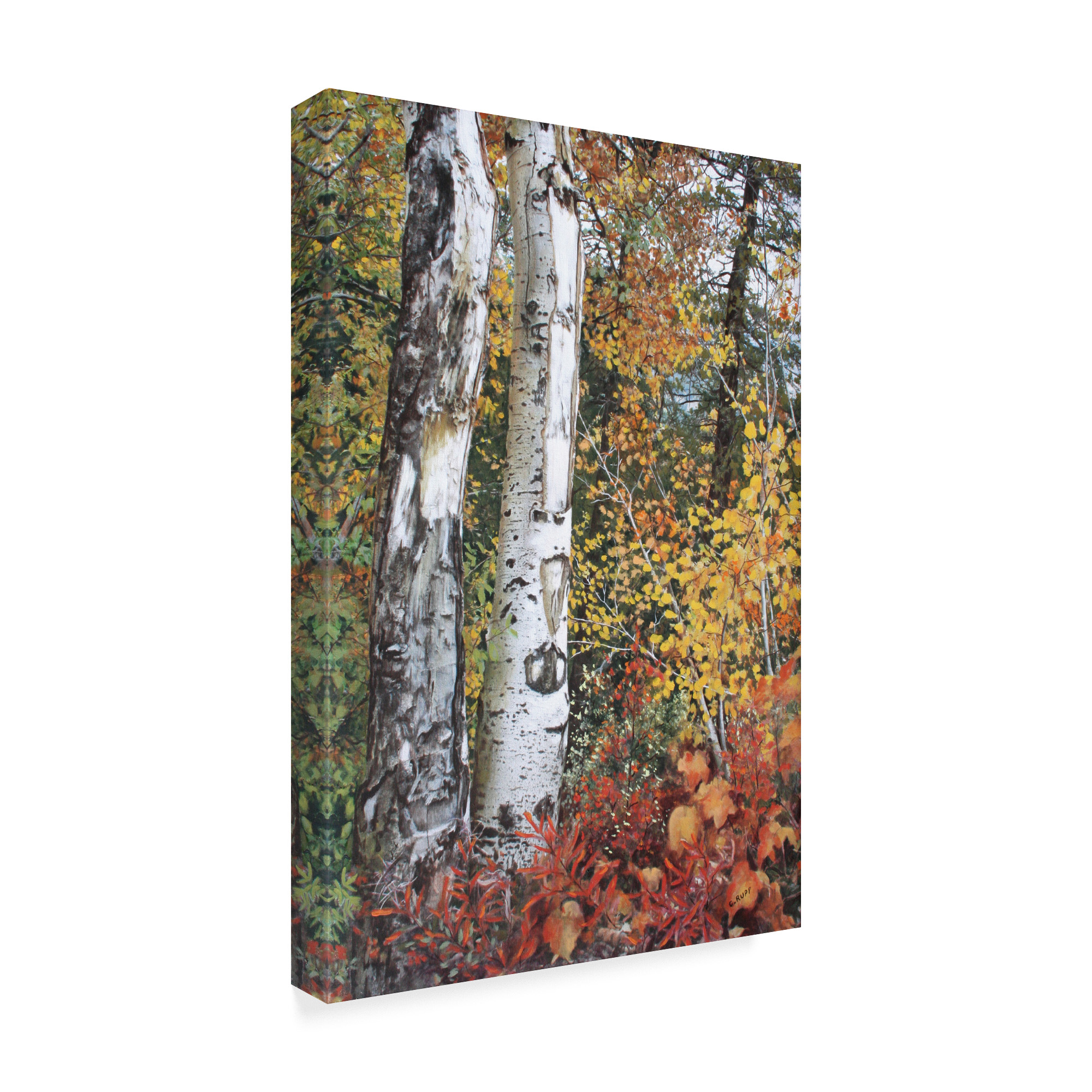Trademark Fine Art 'Aspen Duo' Canvas Art by Carol J Rupp