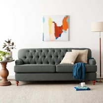 ACME Alianza Sofa with 2 Pillows in Multiple Colors