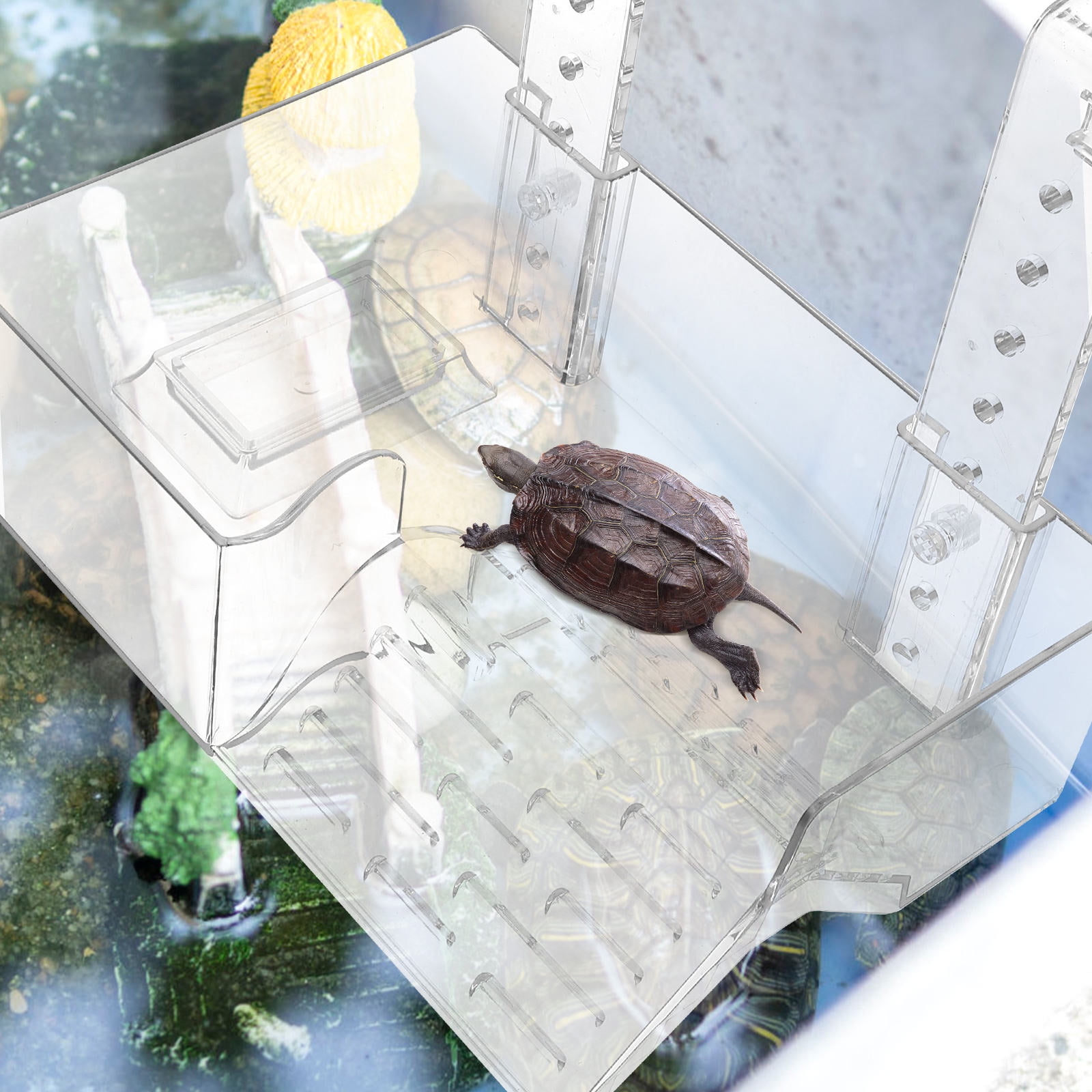 DRAFIDEEP Platform Acrylic Turtle Hanging Basking for Turtle Tank Terrarium