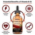 SBR Nutrition Vitamin B12 Liquid Drops, Max Absorption, Vegan Friendly