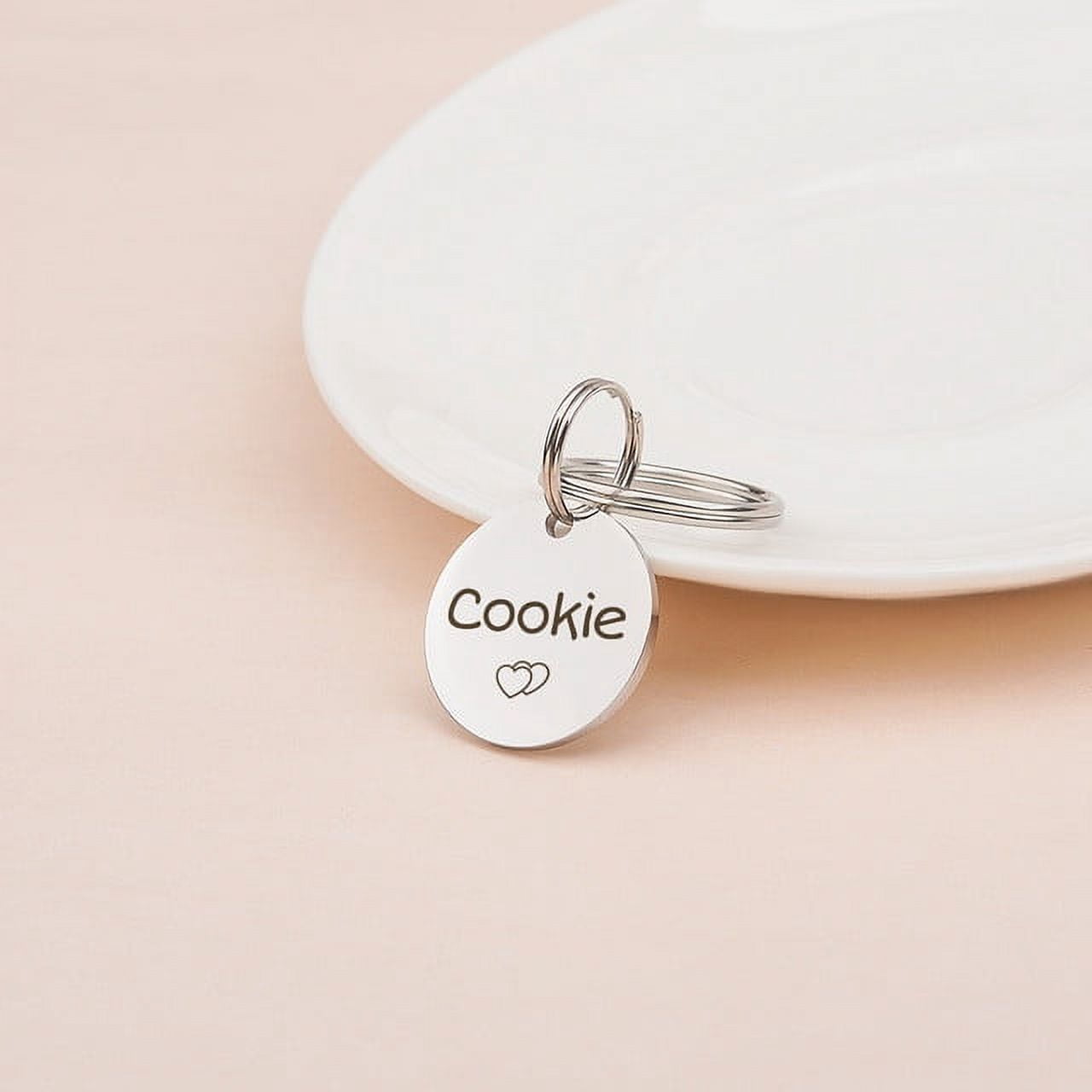 Anavia Stainless Steel Double Sided Round Name and Icon Engraved Dog & Cat ID Tag, Multi-color, L