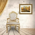 thumbnail image 3 of Aagaard, Douglas 24x17 Gold Ornate Wood Framed with Double Matting Museum Art Print Titled - Gentle Rise, 3 of 4