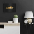 thumbnail image 4 of Luxe Metal Art 'Clown Fish on Black' by Durwood Coffey, Metal Wall Art, 24"x16", 4 of 8