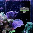 thumbnail image 3 of Double Layer Frag Holder Coral Cultivating Support Coral Fluorescent Rack, 3 of 3