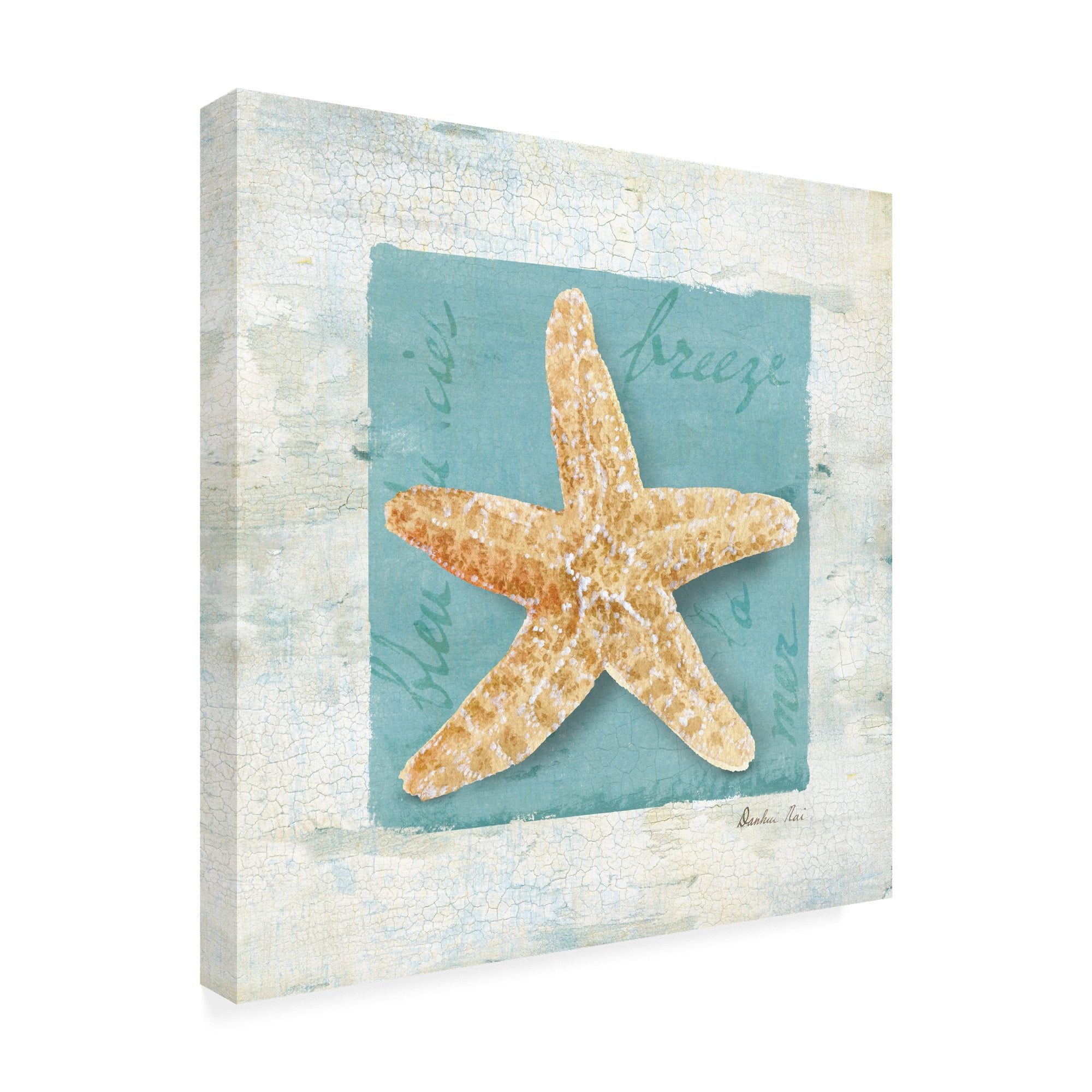 Trademark Fine Art 'Shades of Blue II' Canvas Art by Danhui Nai