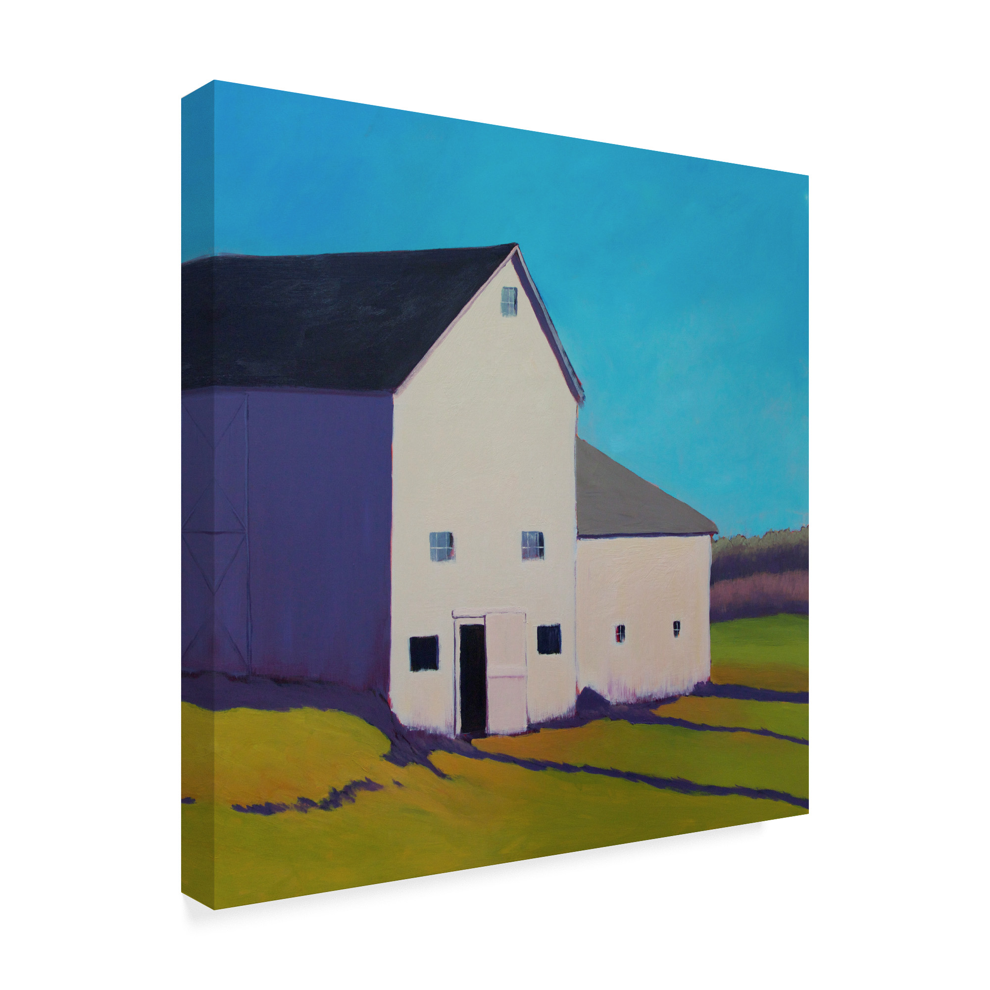 Trademark Fine Art 'Purple Shade' Canvas Art by Carol Young