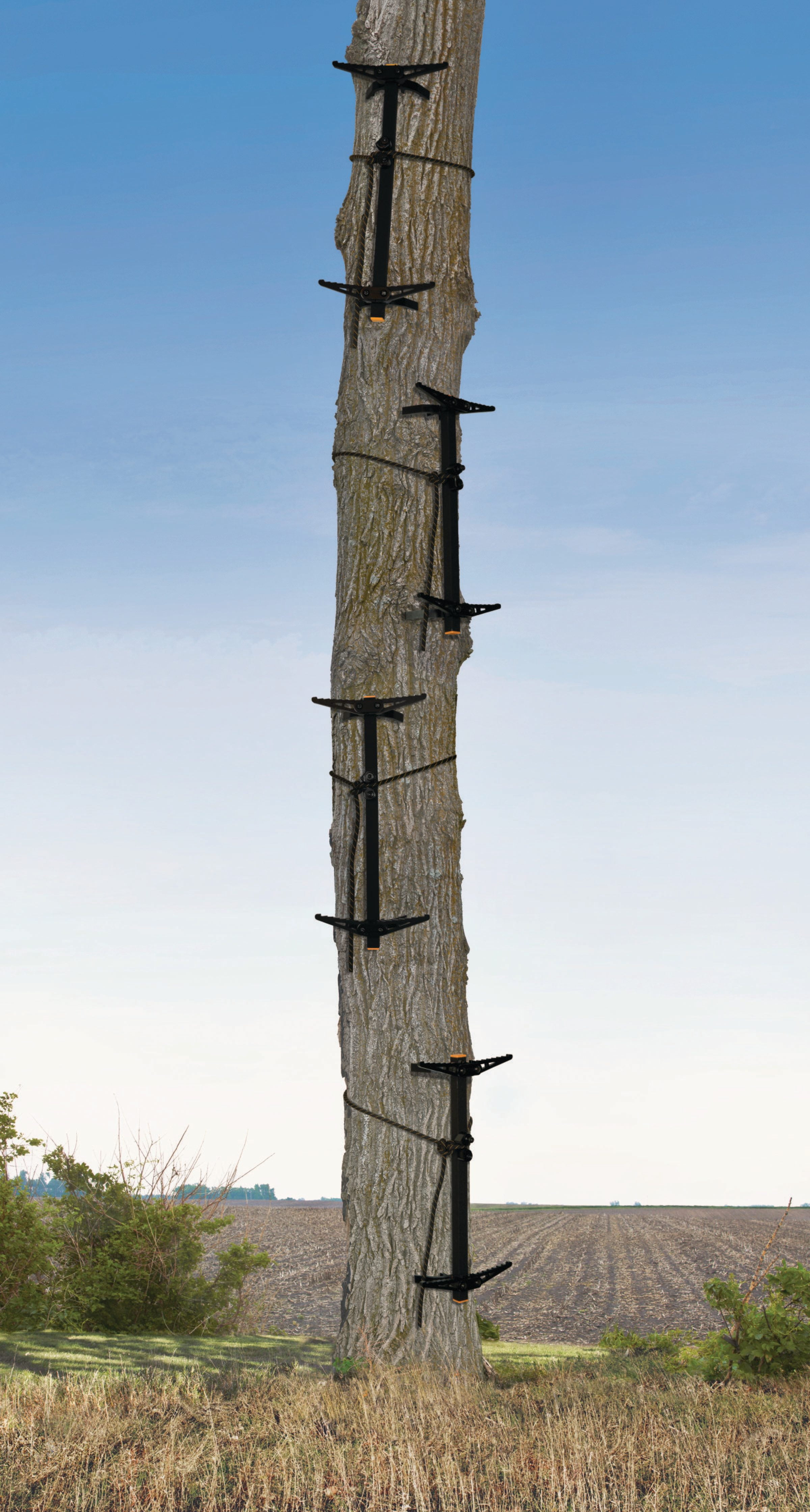 Muddy Outdoors Peg-Pack Series Pro Climbing Stick w/Rope Cam Attachment (4  Pack) - Walmart.com
