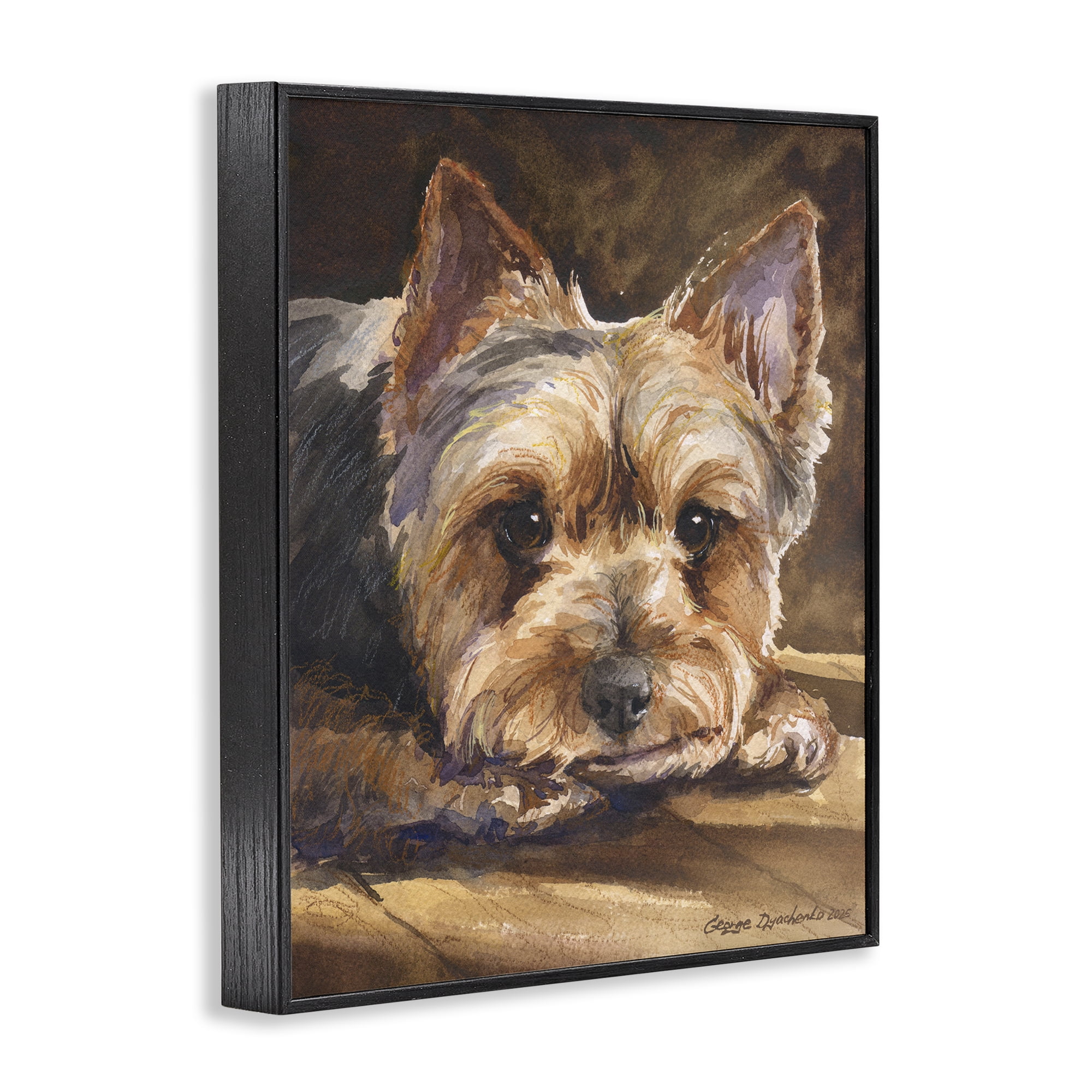 Stupell Industries Yorkshire Terrier Portrait Black Framed Giclee Art, design by George Dyachenko