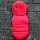 thumbnail image 5 of Otoño e invierno perro acolchado Abrigo Teddy Pet Clothes Pequeño perro acolchado chaleco, 5 of 8