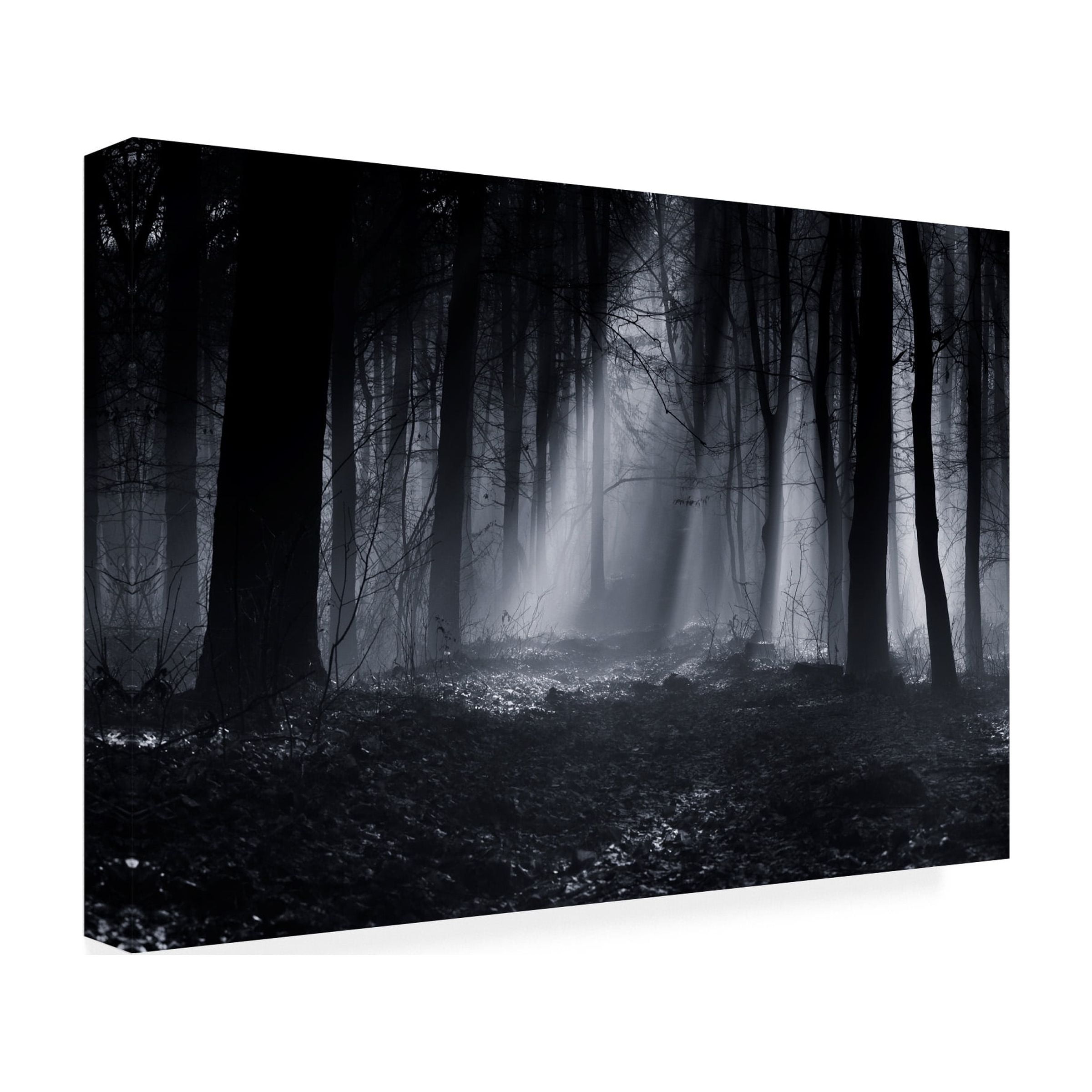 Julien Oncete 'Capela Forest' Canvas Art