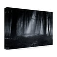 thumbnail image 4 of Julien Oncete 'Capela Forest' Canvas Art, 4 of 4