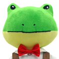 thumbnail image 4 of Muñeca de trapo Playtime de Eimmie Soft Baby Doll Freddy Frog, 4 of 5