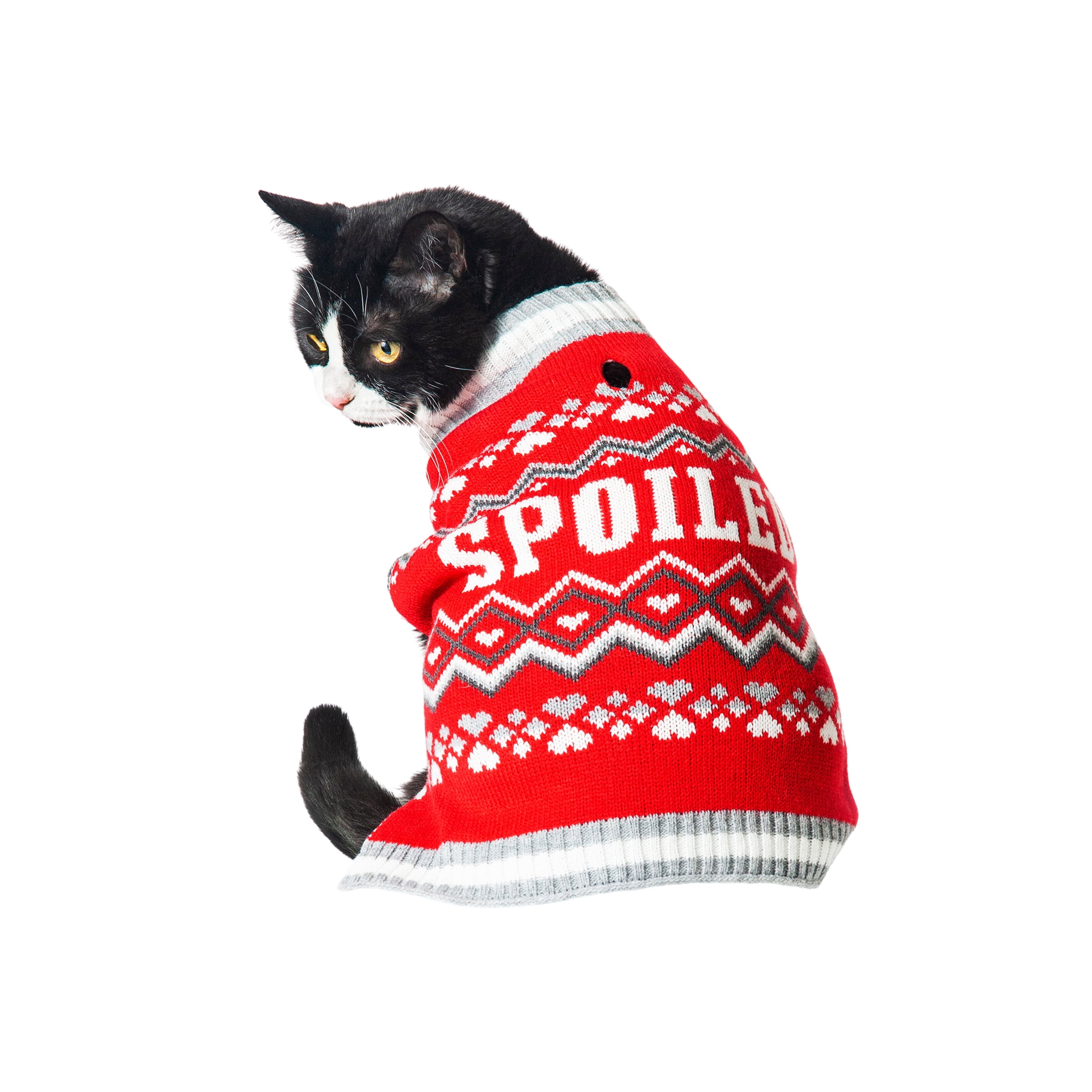 Vibrant Life Winter Dog and Cat Clothes Spoiled Red Sweater, Extra Small