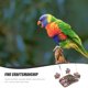thumbnail image 3 of 1 juego de pájaros swing jaula de pájaros soporte para pájaros colgando juguete para trepapor, 3 of 5