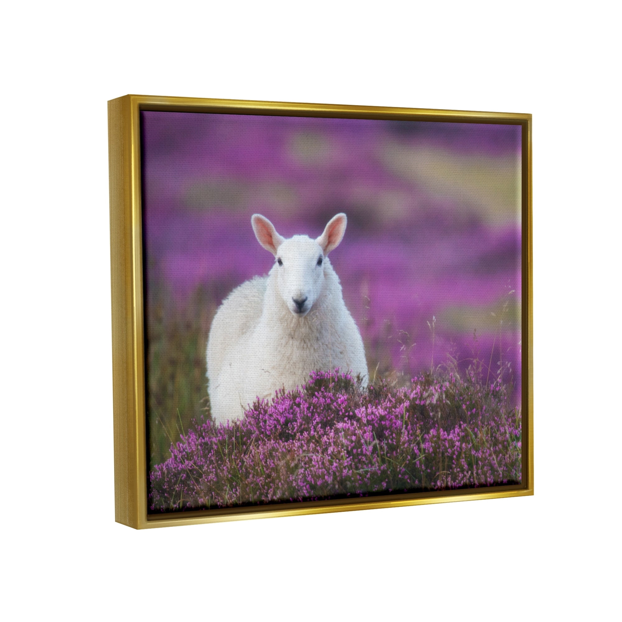 Stupell Industries Elegant White Sheep Among Purple Flower Meadow Photograph Metallic Gold Floating Framed Canvas Print Wall Art, Design by James Dobson