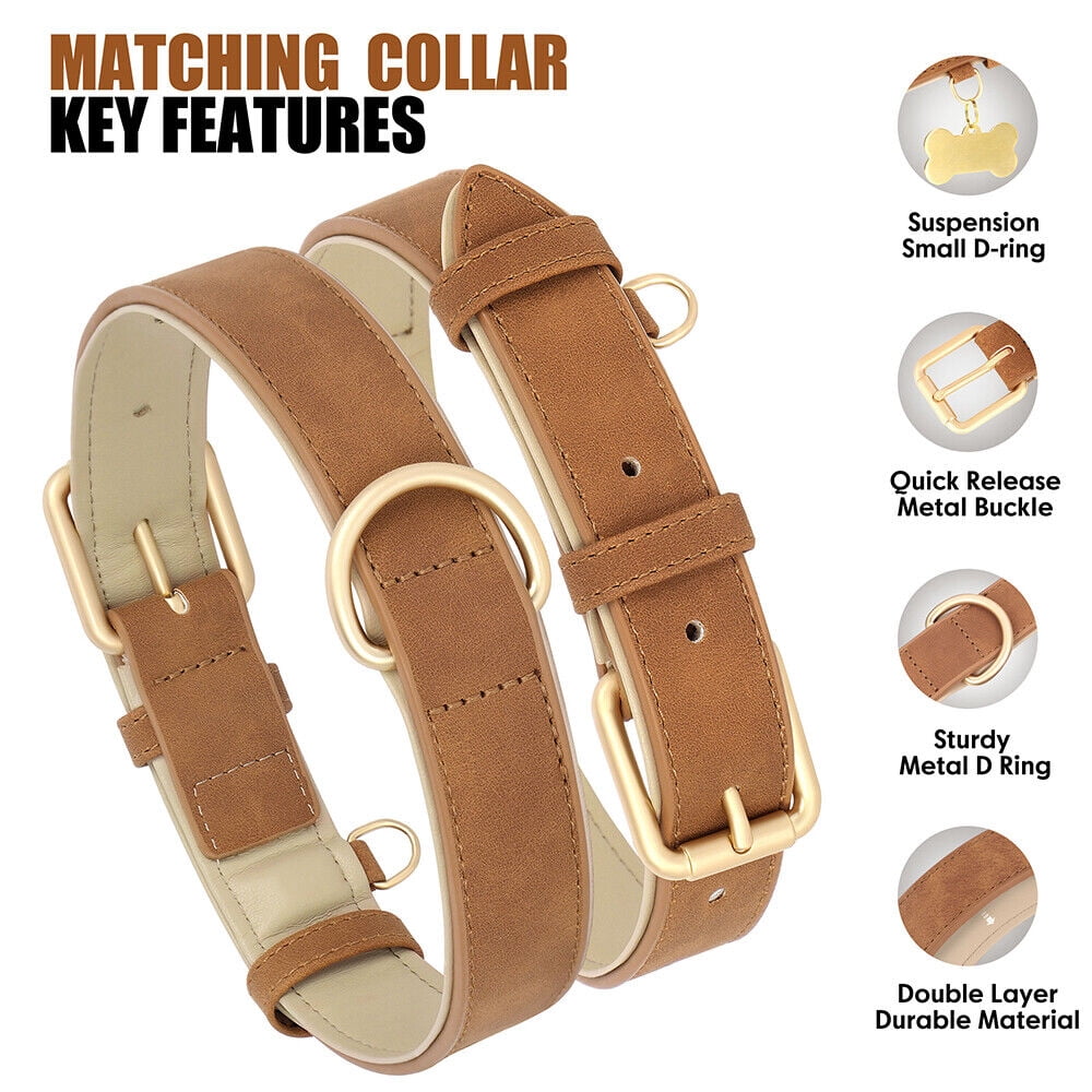 Pet Artist PU Leather Dog Collar and Leash set Soft Padded Adjustable for Pets S-XL