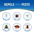 thumbnail image 3 of Cutter Backwoods Insect Repellent 2-Pack Aerosol, 6 Ounces, 3 of 9
