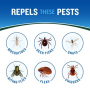Cutter Backwoods Insect Repellent 2-Pack Aerosol, 6 Ounces