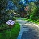 thumbnail image 5 of Luces solares LED de 7 cabezales para jardín de rosas | Iluminación decorativa impermeable de plástico para caminos de jardín | Lámpara solar de flores de bajo consumo con encendido y apagado, 5 of 6