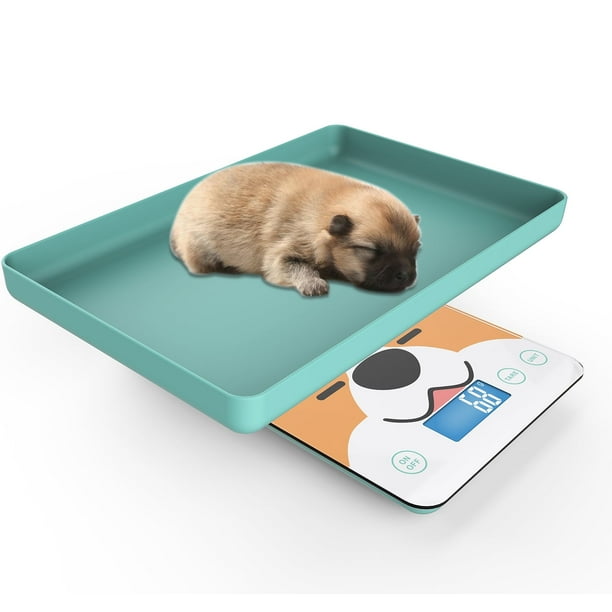 MINDPET-MED Digitale Mini-Haustierwaage für Neugeborene und Kleintiere, Präzisions-Grammwaage zum Wiegen, Genauigkeit von 0,03 oz, Kapazität von 33 lbs, fünf Einheiten umschaltbar, blau