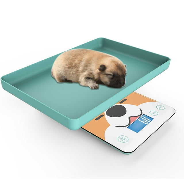 MINDPET-MED Digitale Mini-Haustierwaage für Neugeborene und Kleintiere, Präzisions-Grammwaage zum Wiegen, Genauigkeit von 0,03 oz, Kapazität von 33 lbs, fünf Einheiten umschaltbar, blau