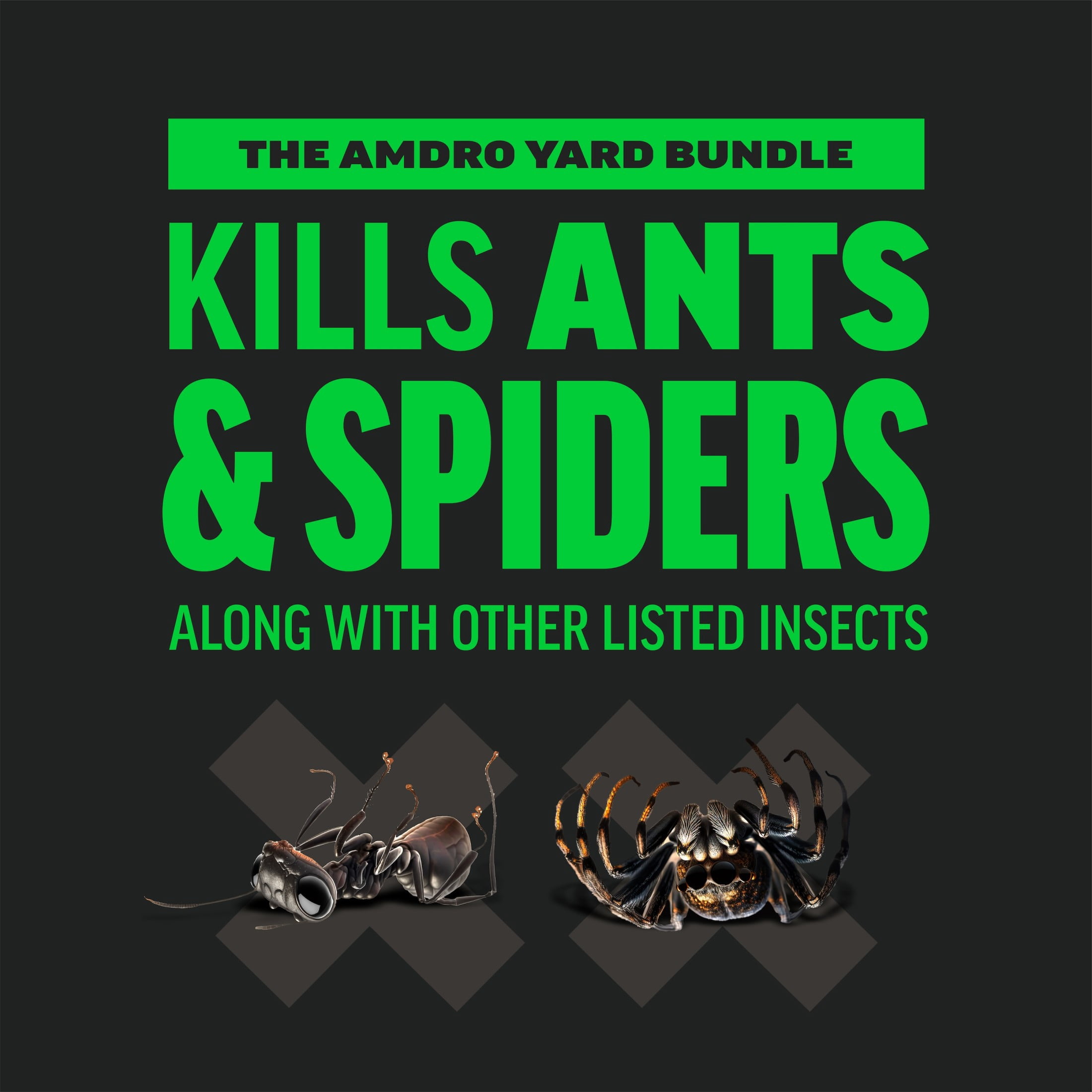 Amdro Insect Killer Yard Liquid RTS & Granule Bundle