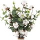 thumbnail image 1 of uds tallos de algodón 23,5 "flores de algodón 4 cabezas de algodón con hojas de eucalipto por tallo tallos florales de algodón para casa granja Flor JFHHH pequeña, 1 of 5