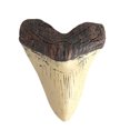thumbnail image 1 of fastboy Craftsmanship Home Deco Decoration For Vintage Home Environmentally Friendly And Durable, 1 of 6