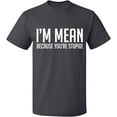 thumbnail image 2 of OXI T-Shirt - I Am Mean Because You Are Stupid, Basic Casual T-Shirt for Men's and Women Fleece T-Shirt Short Sleeve - Charcoal 2X-Large, 2 of 3