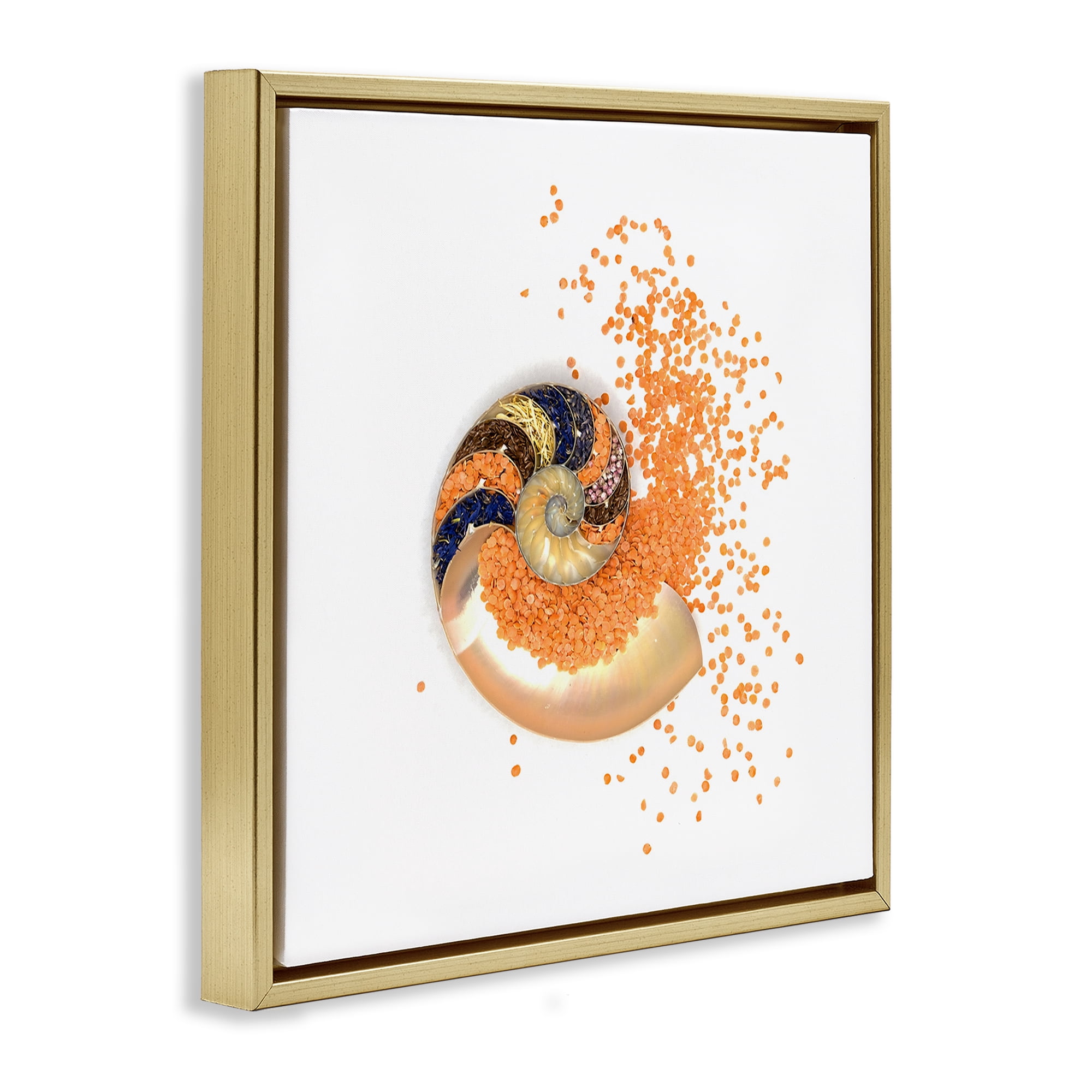 Stupell Industries Orange Nautilus Spiral Gold Framed Floater Canvas Wall Art, design by Beth Adoette