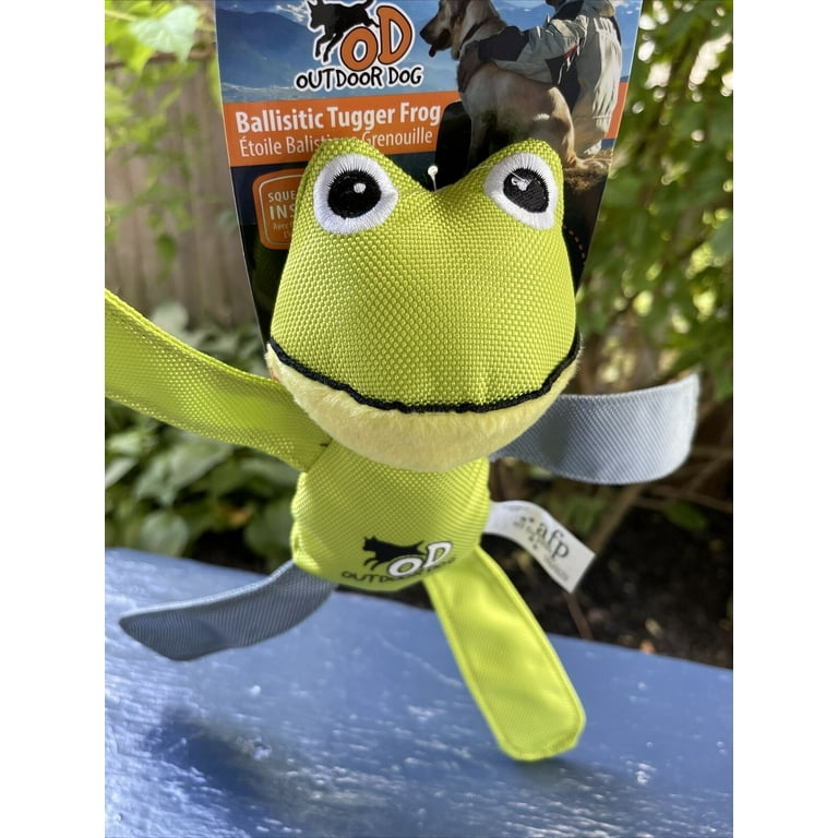Frog squeaky top dog toy