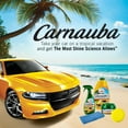 Turtle Wax Complete Carnauba Wash & Wax Kit