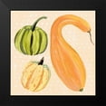 thumbnail image 2 of Warren, Annie 20x20 Black Modern Framed Museum Art Print Titled - Decorative Gourd I, 2 of 5